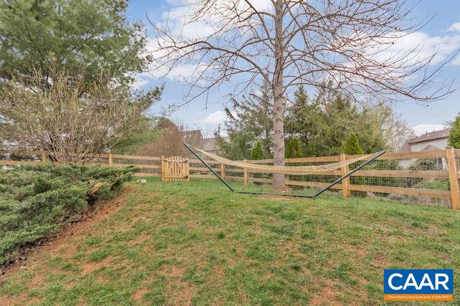 1134 Amber Ridge Road Charlottesville, VA 22901 - Photo 29 of 34 a view of yard with green space