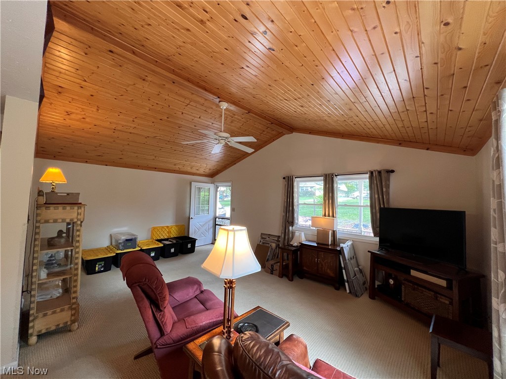 78512 Bose Road Freeport, OH 43973 - Photo 10 of 26 Gallery Image 10