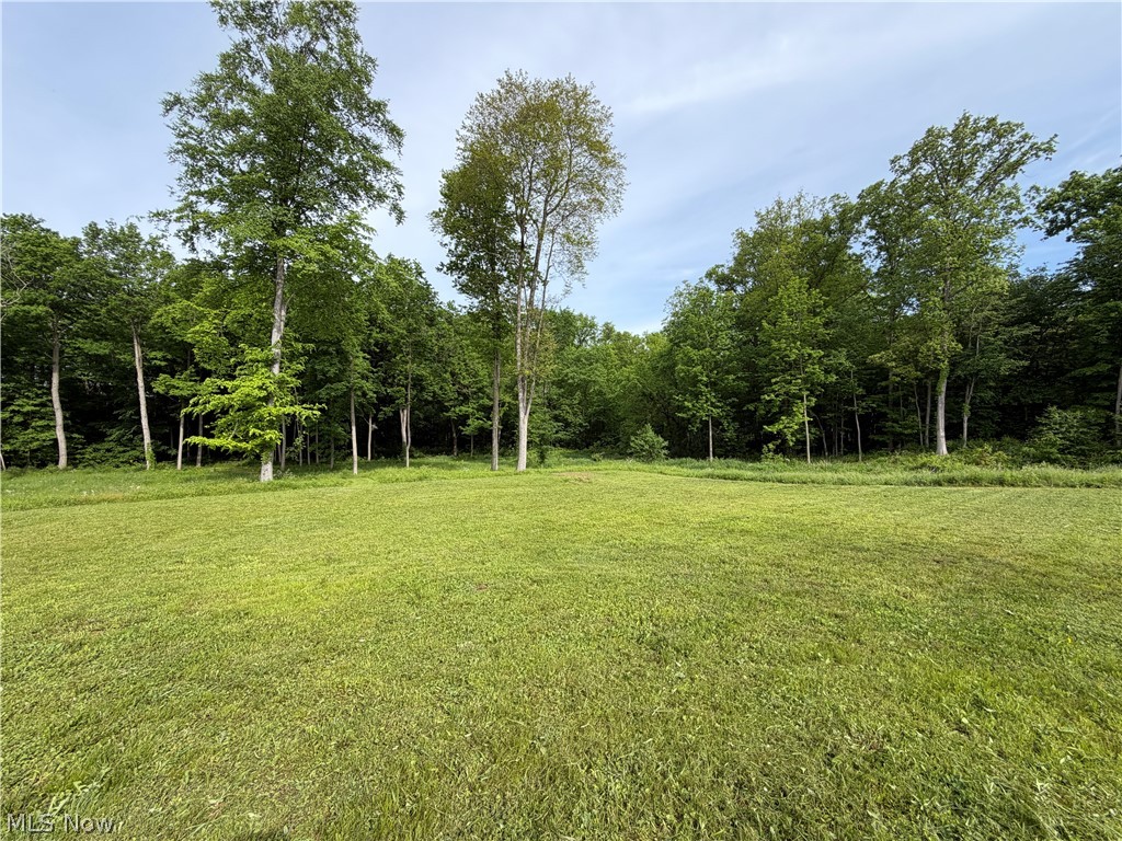 9322 Wadsworth Road Marshallville, OH 44645 - Photo 3 of 9