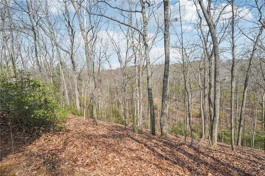 29 Red Trillium Ridge Big Canoe, GA 30143 - Photo 58 of 76