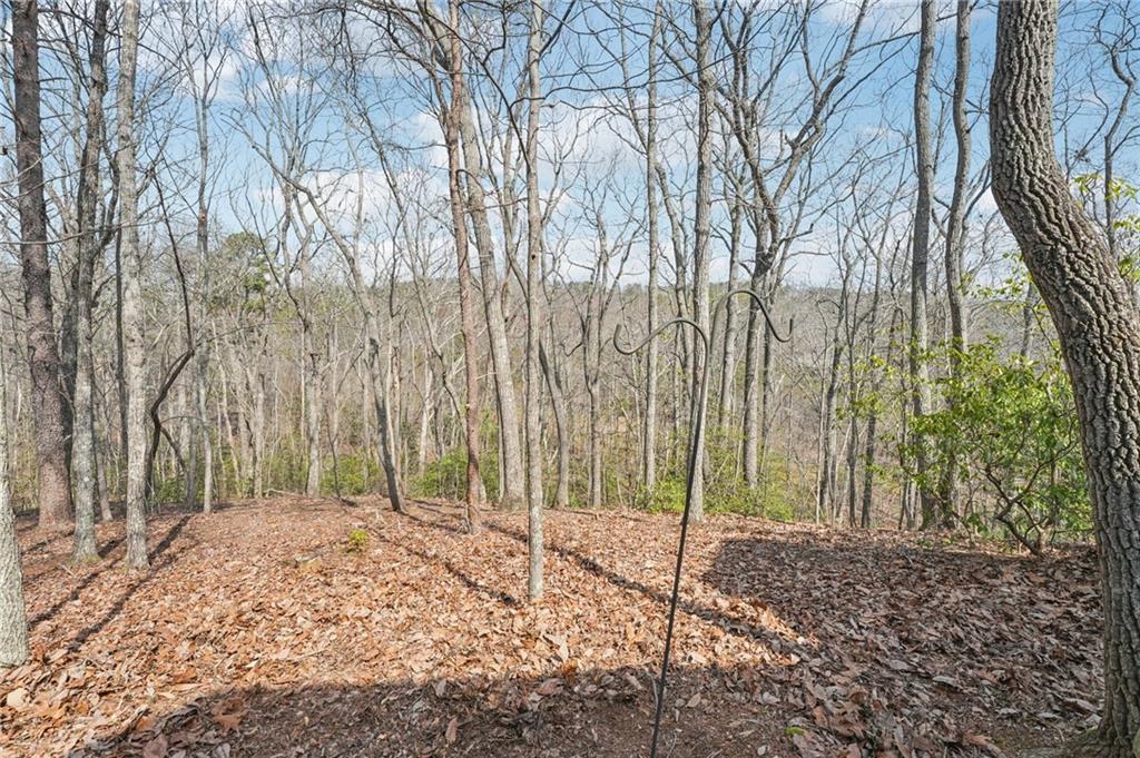 29 Red Trillium Ridge Big Canoe, GA 30143 - Photo 59 of 76 a backyard of a house with lots of green space