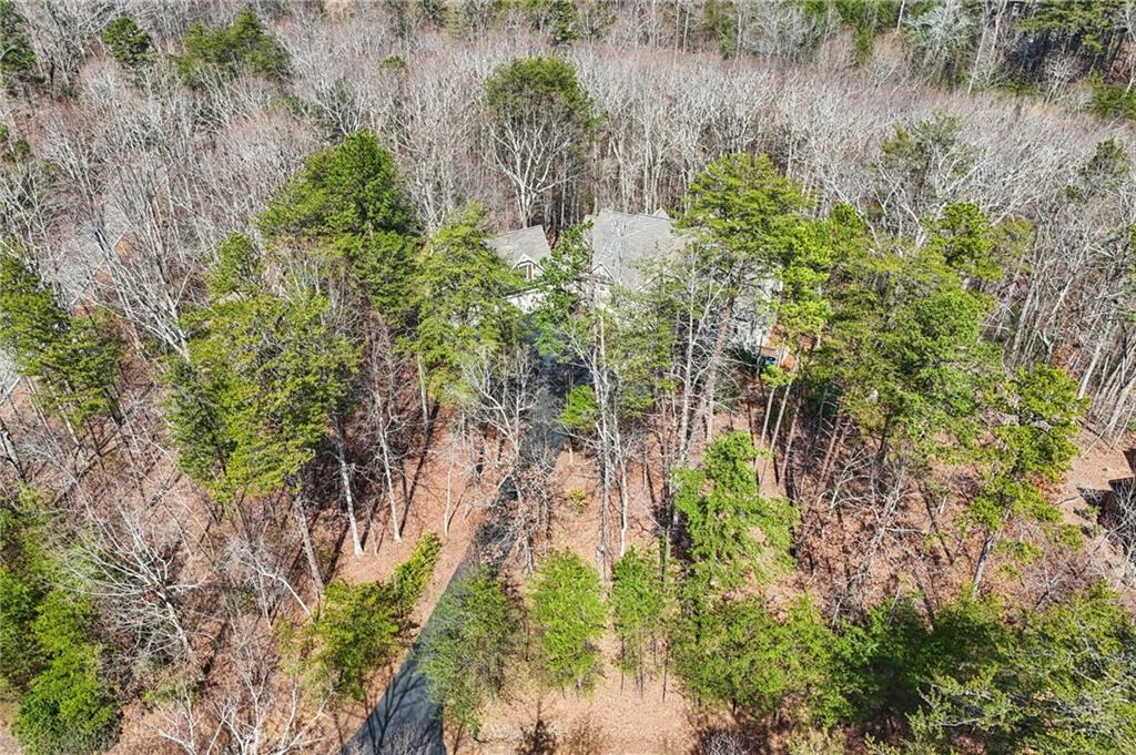 29 Red Trillium Ridge Big Canoe, GA 30143 - Photo 63 of 76 a backyard of a house with lots of green space and fountain