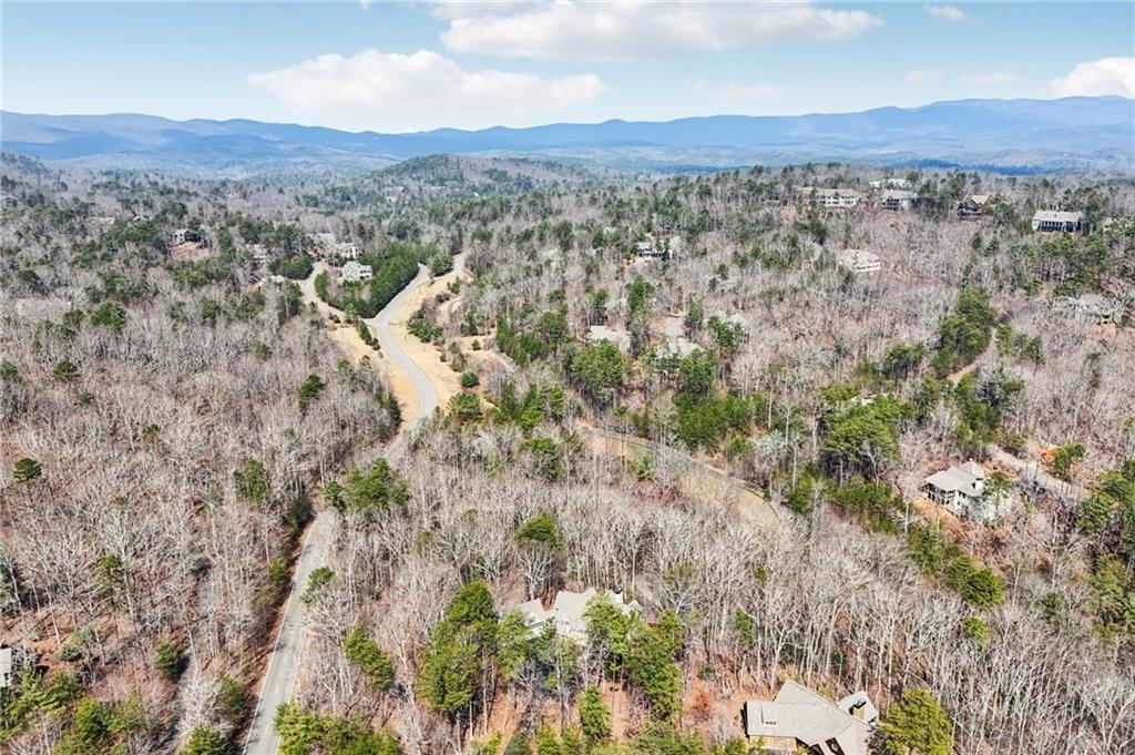 29 Red Trillium Ridge Big Canoe, GA 30143 - Photo 64 of 76