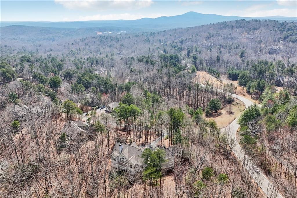 29 Red Trillium Ridge Big Canoe, GA 30143 - Photo 67 of 76