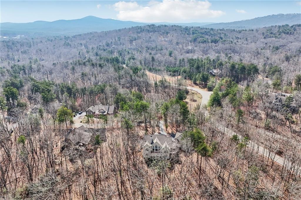 29 Red Trillium Ridge Big Canoe, GA 30143 - Photo 68 of 76