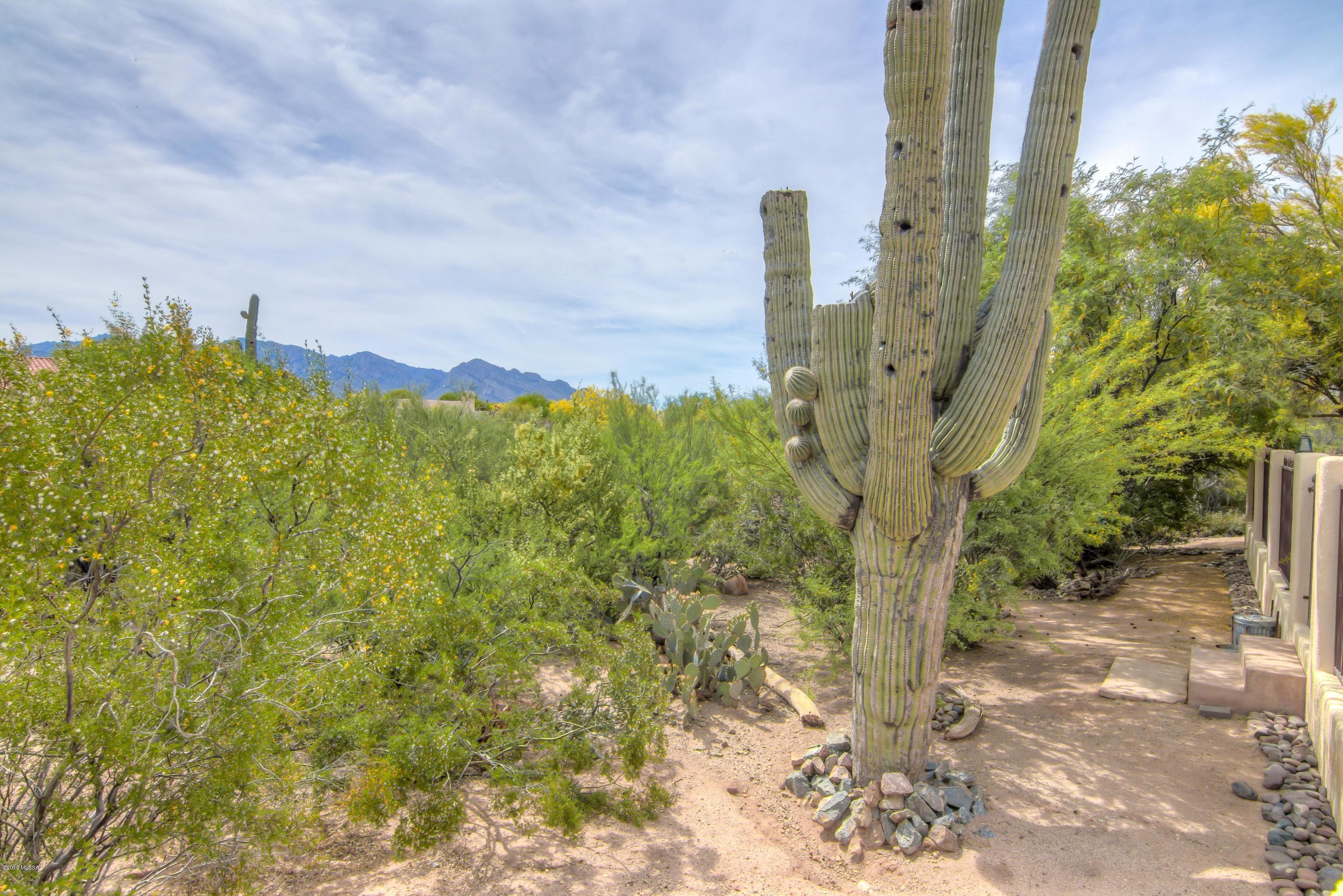 11570 Kelly Rae Place Oro Valley, AZ 85737 - Photo 37 of 41 Gallery Image 37