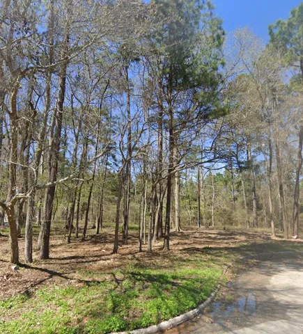 $45,000 | 25785 Tupelo Circle, Splendora, TX 77372