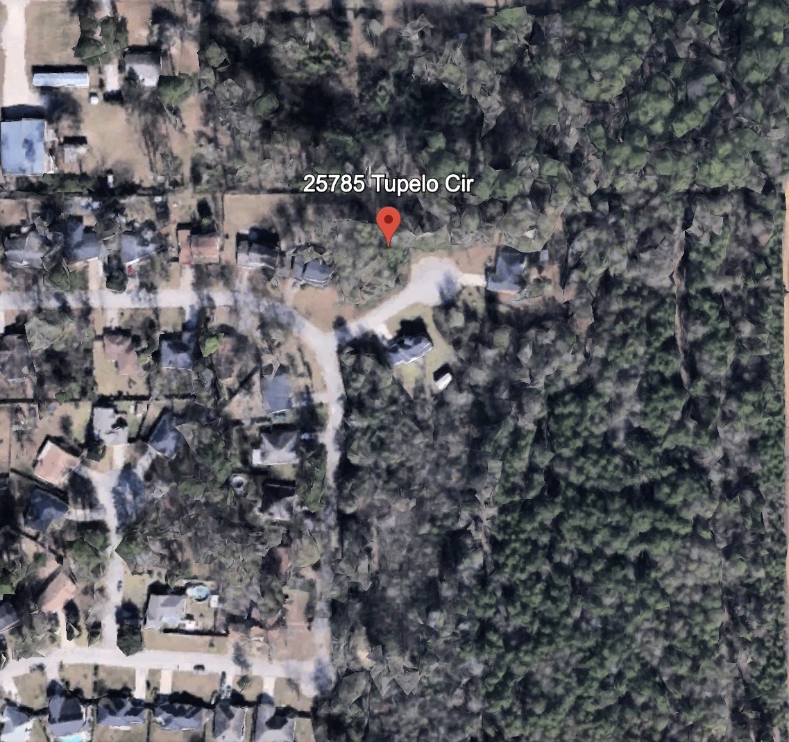 25785 Tupelo Circle Splendora, TX 77372 - Photo 4 of 5