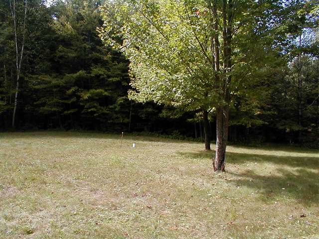 5753 Cedar Falls Road Hazelhurst, WI 54531 - Photo 7 of 15 Gallery Image 7