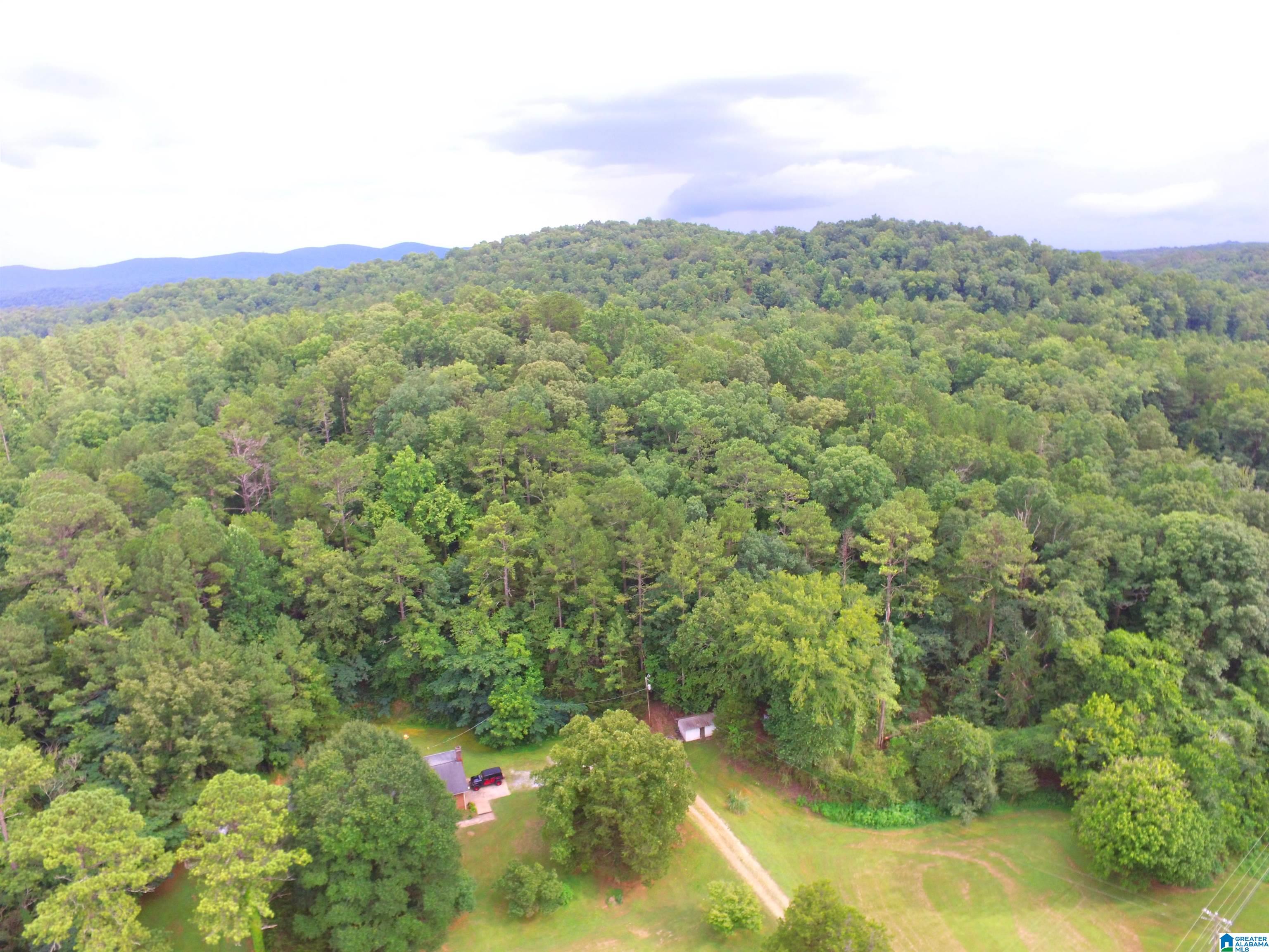 4041 Allison Mill Road Talladega, AL 35160 - Photo 13 of 53