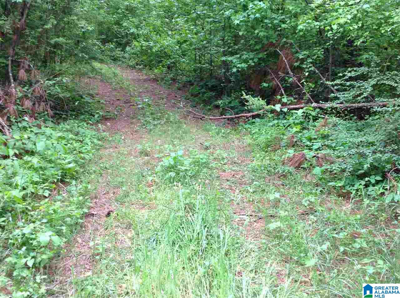 0 County Road 697 Muscadine, AL 36269 - Photo 7 of 8