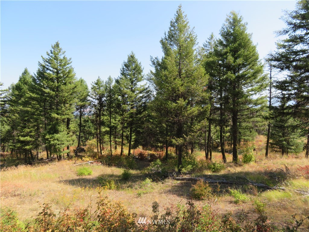 148 Union Ridge Road Republic, WA 99166 - Photo 22 of 31