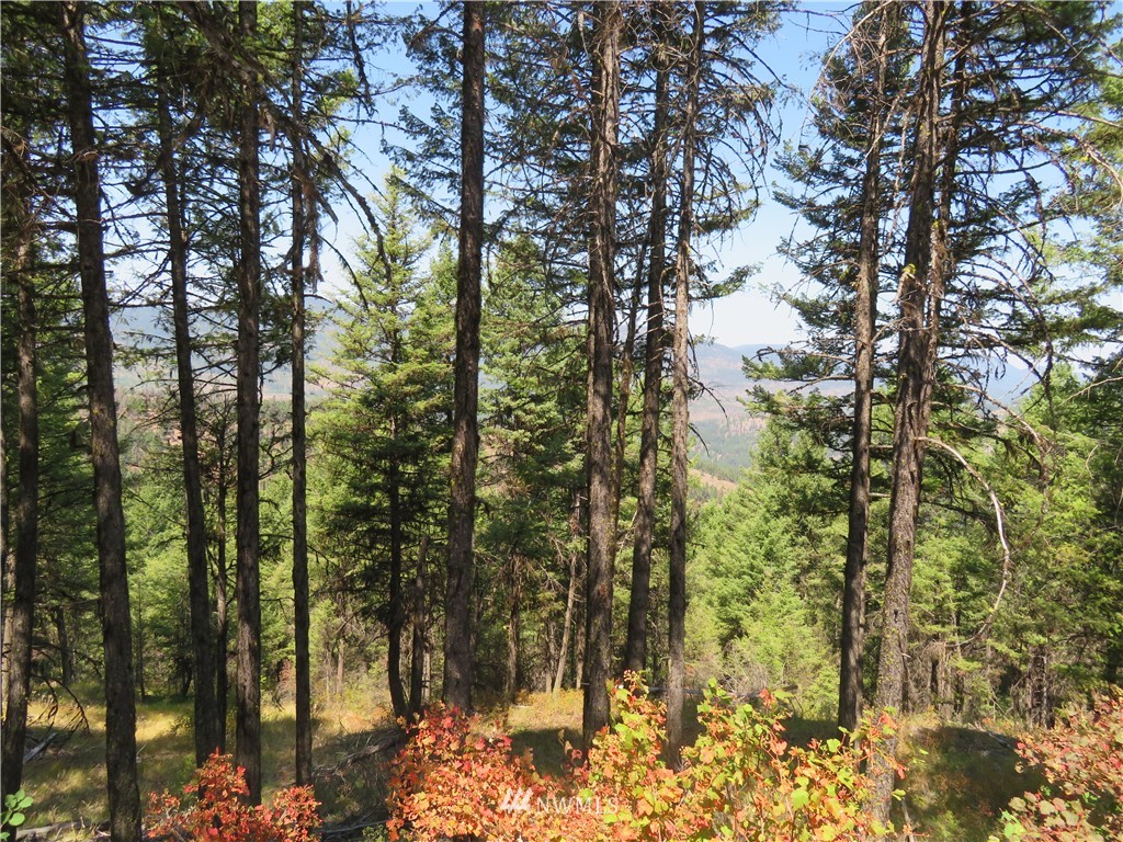 148 Union Ridge Road Republic, WA 99166 - Photo 25 of 31