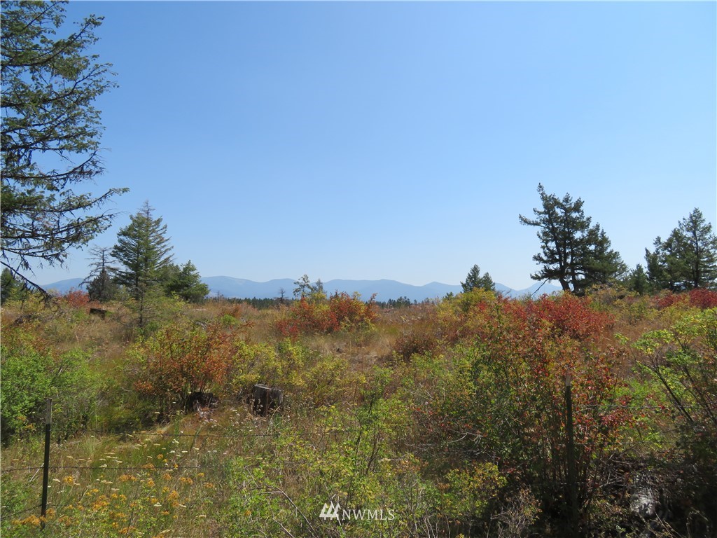 148 Union Ridge Road Republic, WA 99166 - Photo 28 of 31