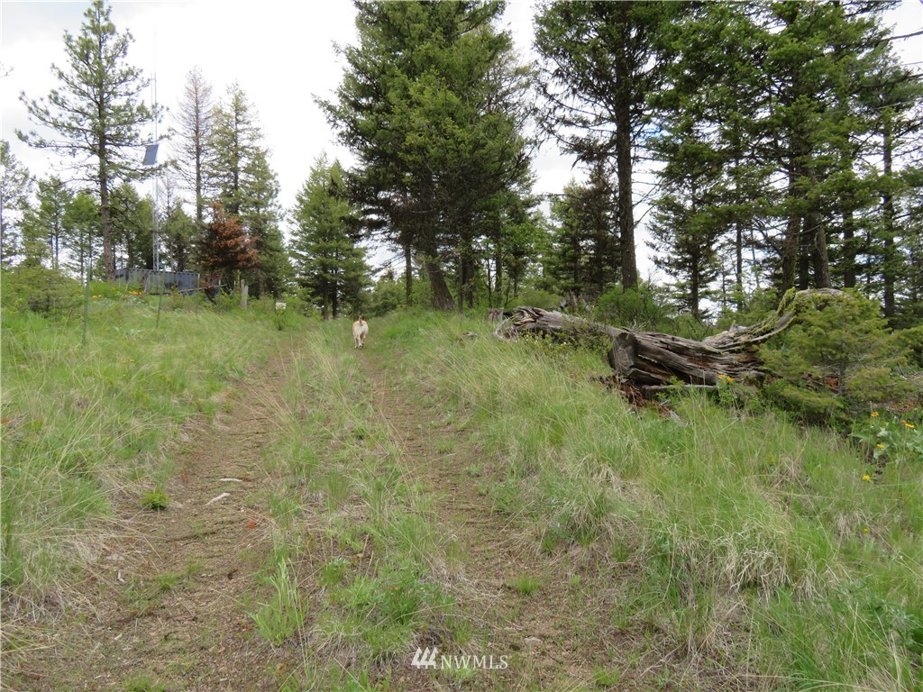 148 Union Ridge Road Republic, WA 99166 - Photo 8 of 31