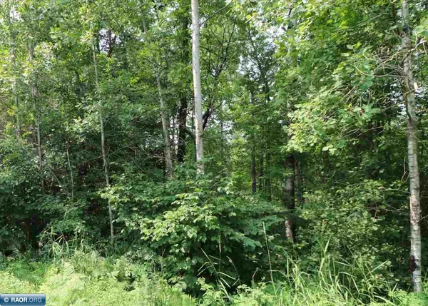 $108,000 | Xxxx Xxxx Deer Forest Road, Makinen, MN 55763