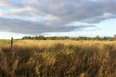 3394 East Johnson Road Custer, MI 49405 - Photo 1 of 6 Primary Photo