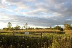 3394 East Johnson Road Custer, MI 49405 - Photo 3 of 6 Additional Photo