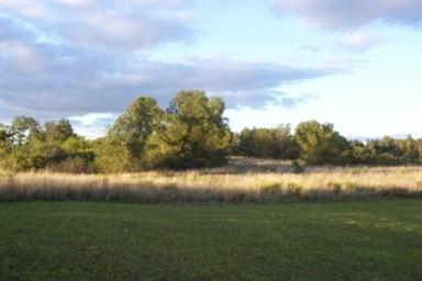 3394 East Johnson Road Custer, MI 49405 - Photo 5 of 6 Additional Photo