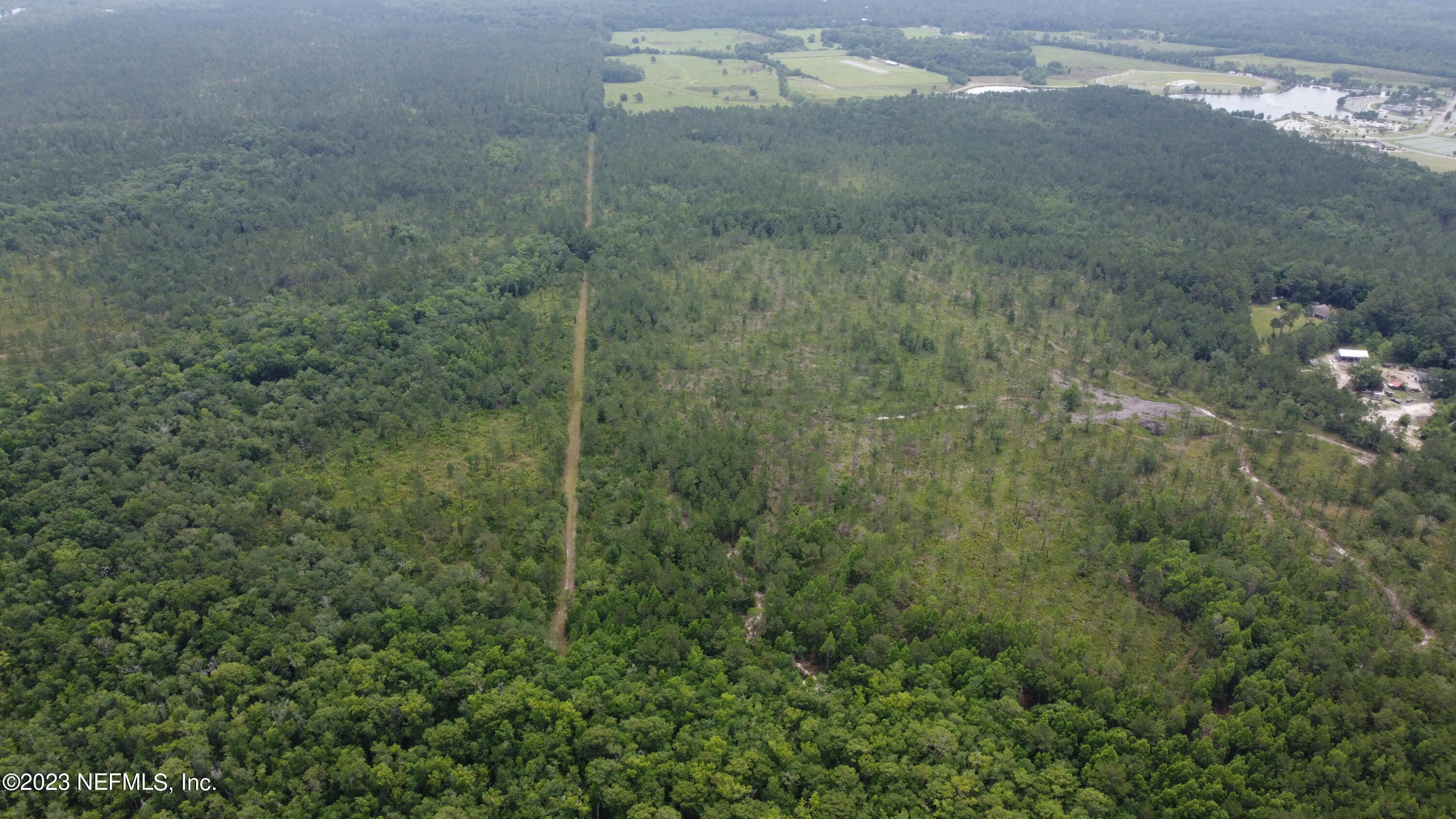 0 Ethel Road Jacksonville, FL 32218 - Photo 12 of 24 a view of a plant in a bathroom