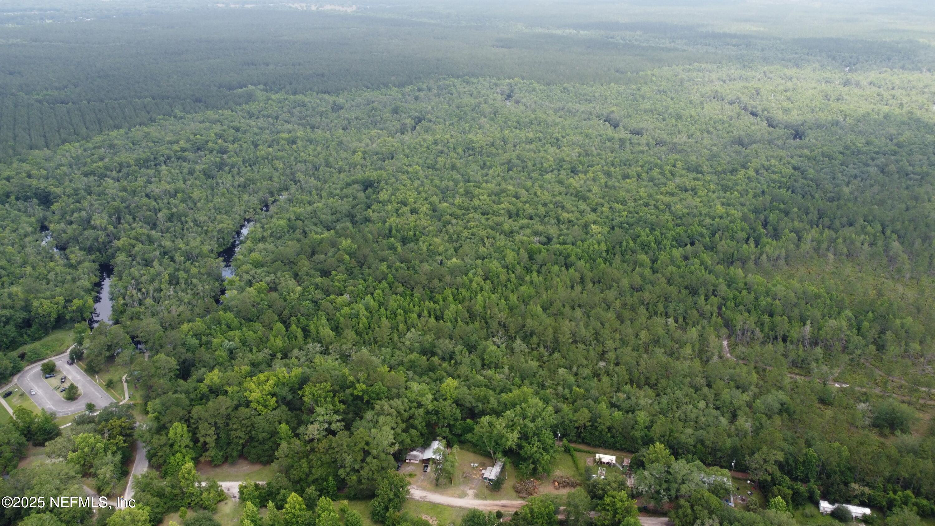 0 Ethel Road Jacksonville, FL 32218 - Photo 20 of 24 a view of a forest with a street