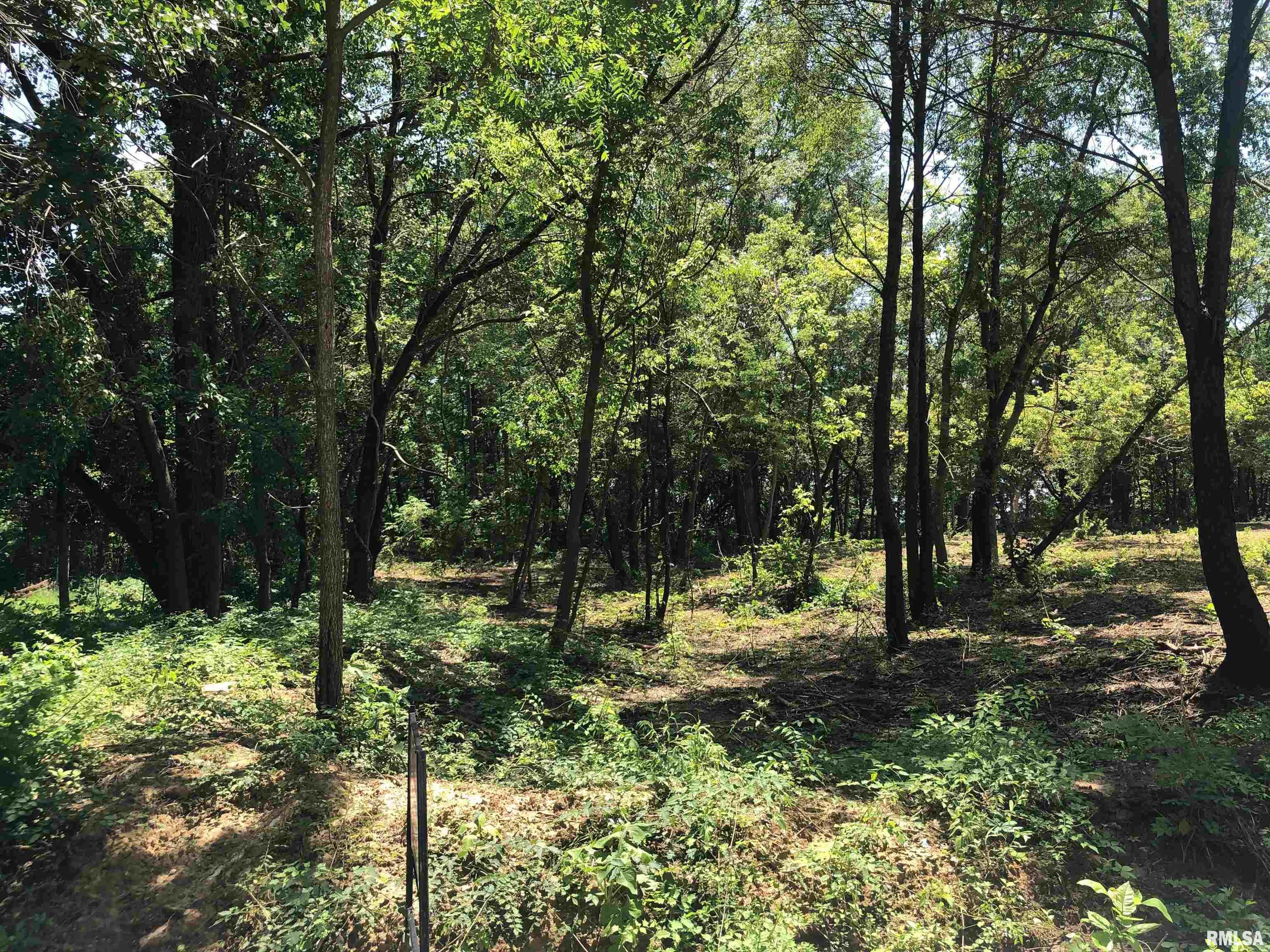 Lot 2 West McKee Road Peoria, IL 61607 - Photo 2 of 4