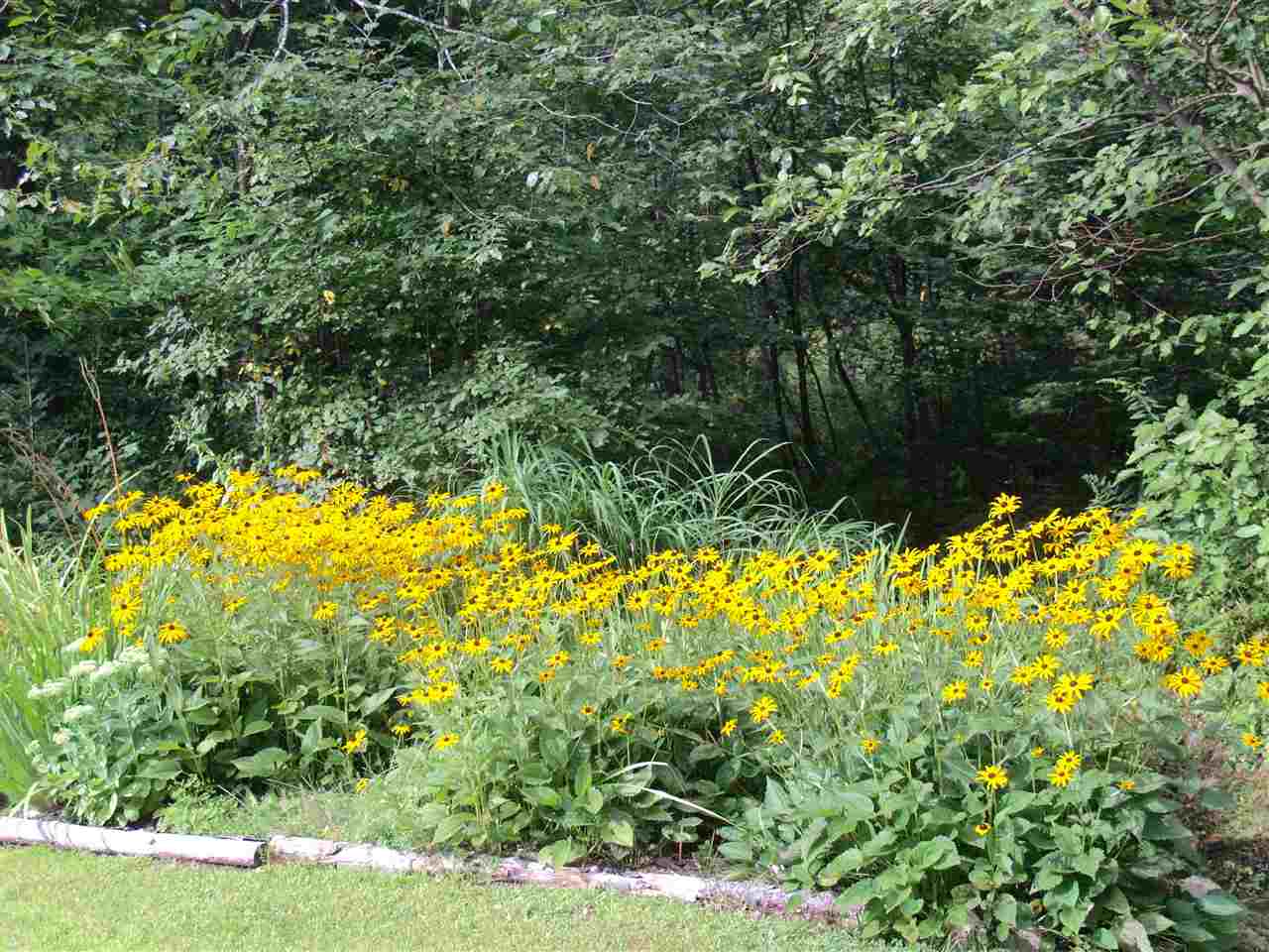 166 Cobble Ridge Road Londonderry, VT 05148 - Photo 2 of 34