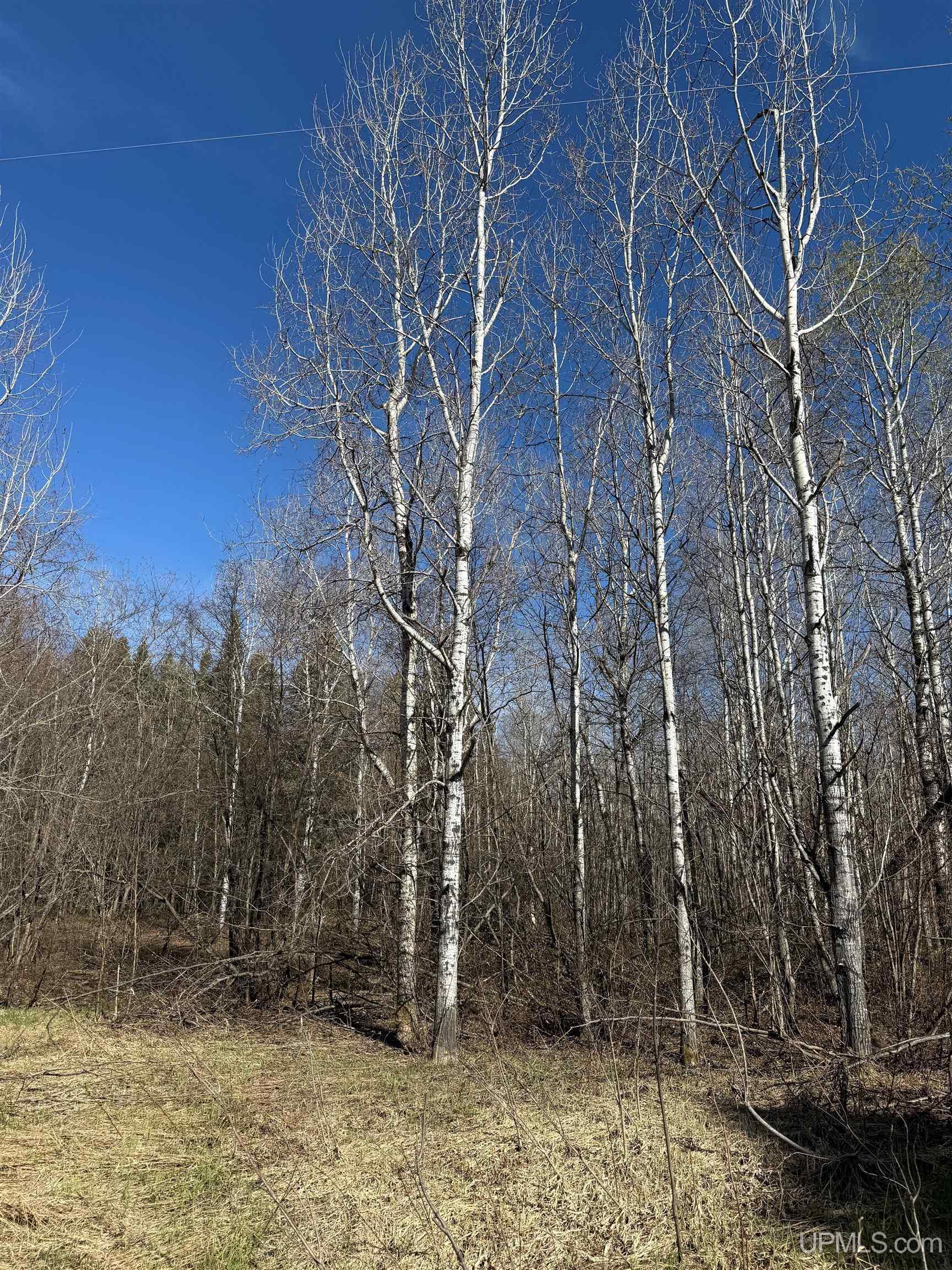Tbd85 South Sidnaw Road Sidnaw, MI 49961 - Photo 22 of 22