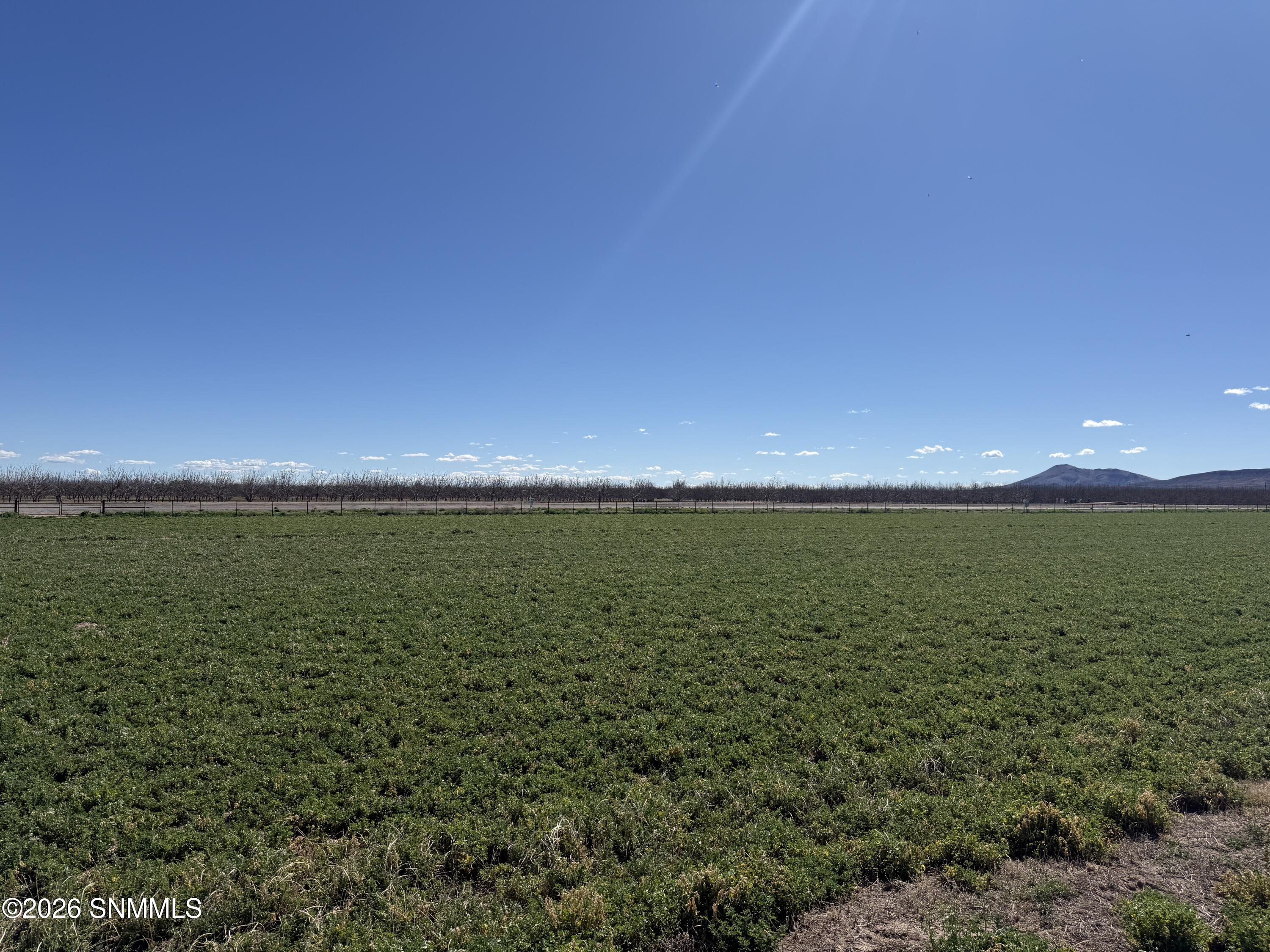 2 Harvey Farm Road Las Cruces, NM 88007 - Photo 16 of 18 2026-02-14 13.37.03