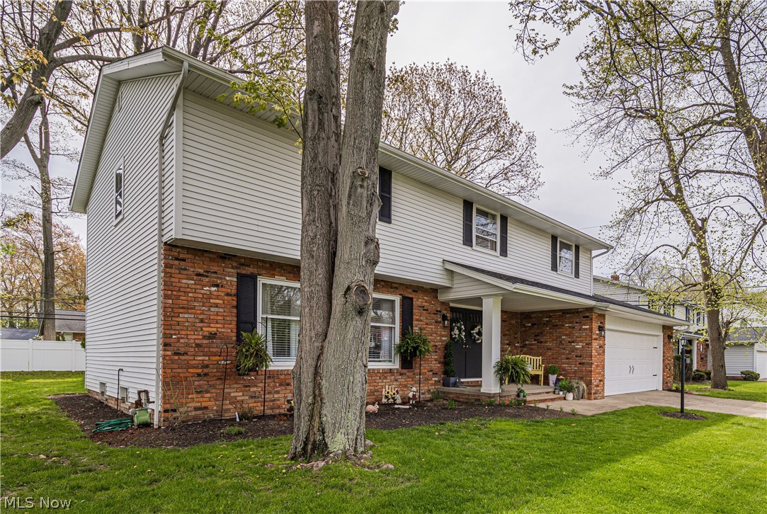 983 Roland Road Lyndhurst, OH 44124 - Photo 2 of 35