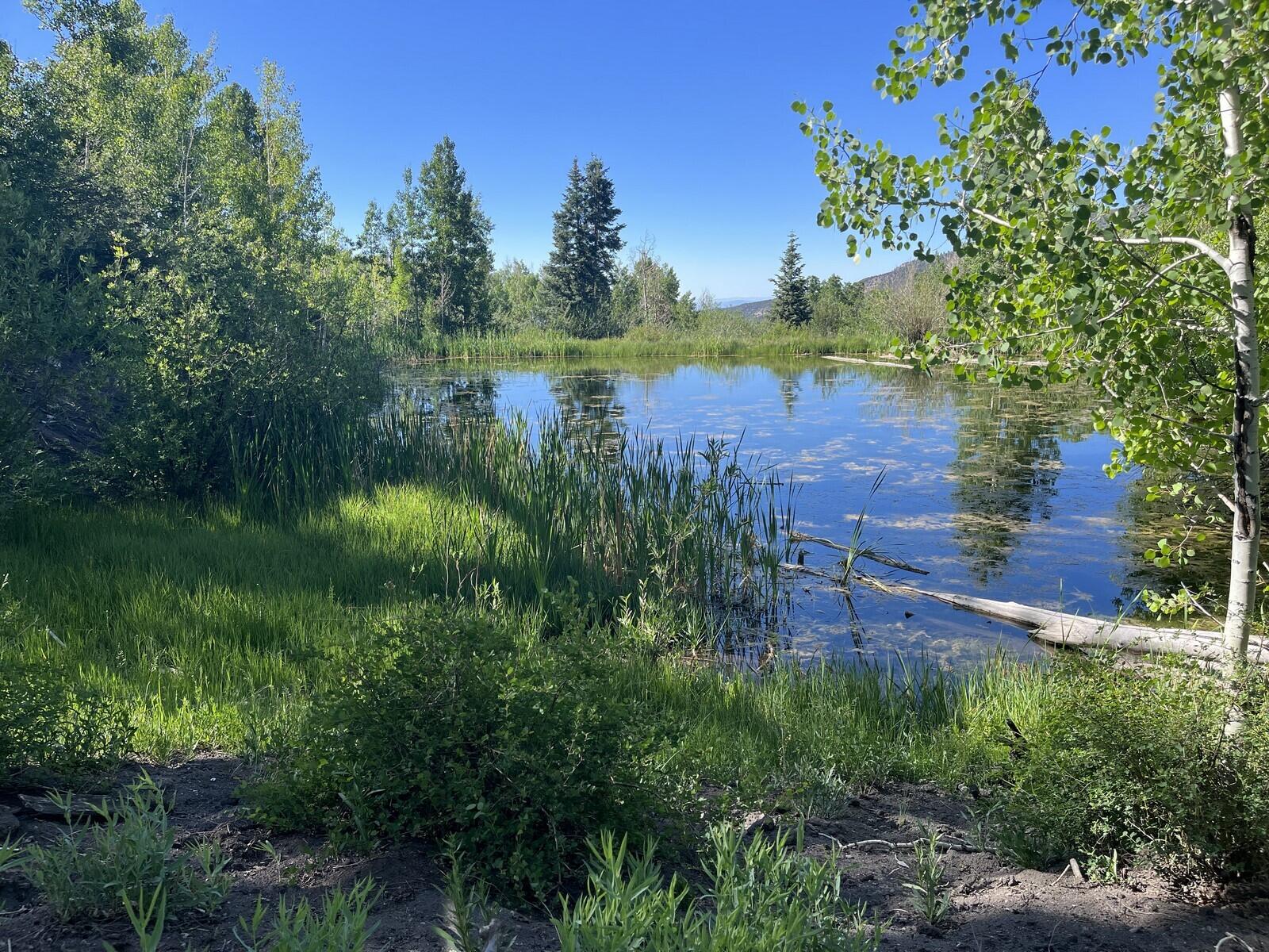 1461 Co Rd 17 Ridgway, CO 81432 - Photo 11 of 14 H IMG_4707