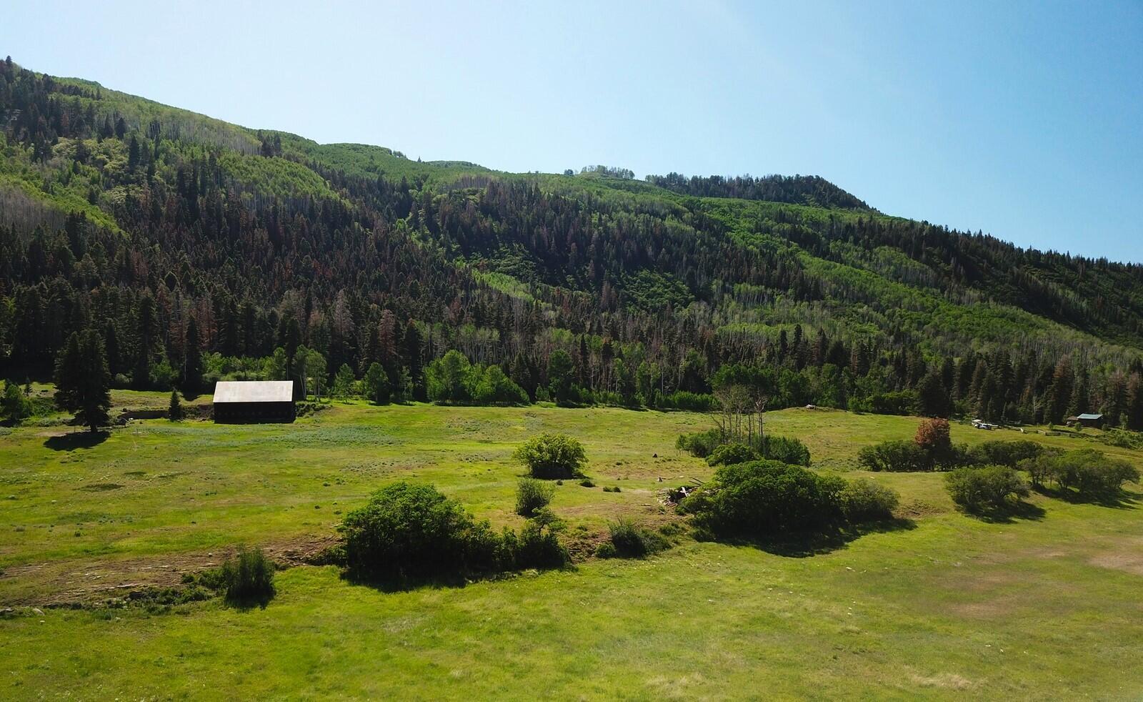 1461 Co Rd 17 Ridgway, CO 81432 - Photo 2 of 14 H DJI_0067