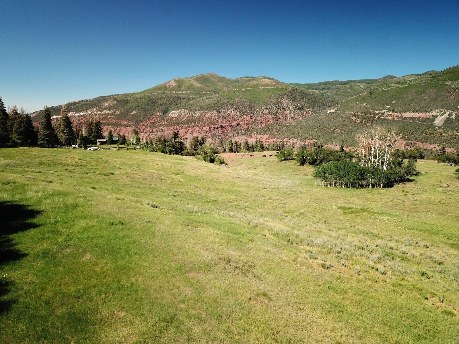 1461 Co Rd 17 Ridgway, CO 81432 - Photo 4 of 14 H DJI_0074