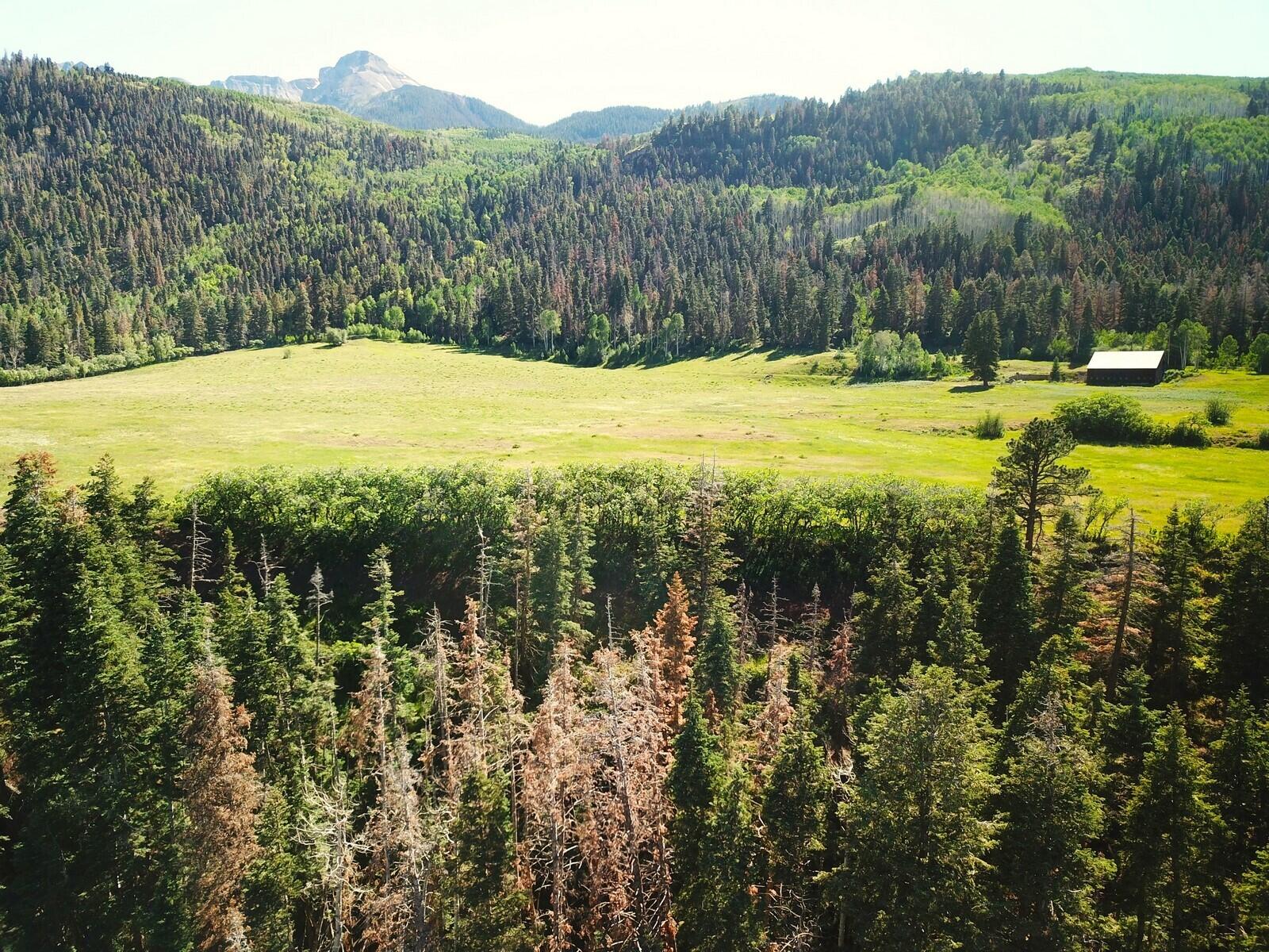 1461 Co Rd 17 Ridgway, CO 81432 - Photo 8 of 14 H DJI_0094