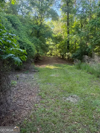 a view of a yard with a tree