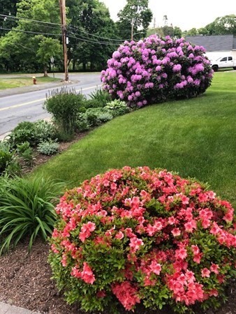 114 River Street Hudson, MA 01749 - Photo 29 of 40 a view of a garden with flowers and tree