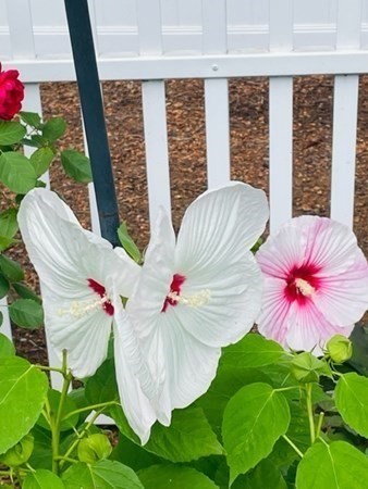114 River Street Hudson, MA 01749 - Photo 32 of 40 a view of a living room