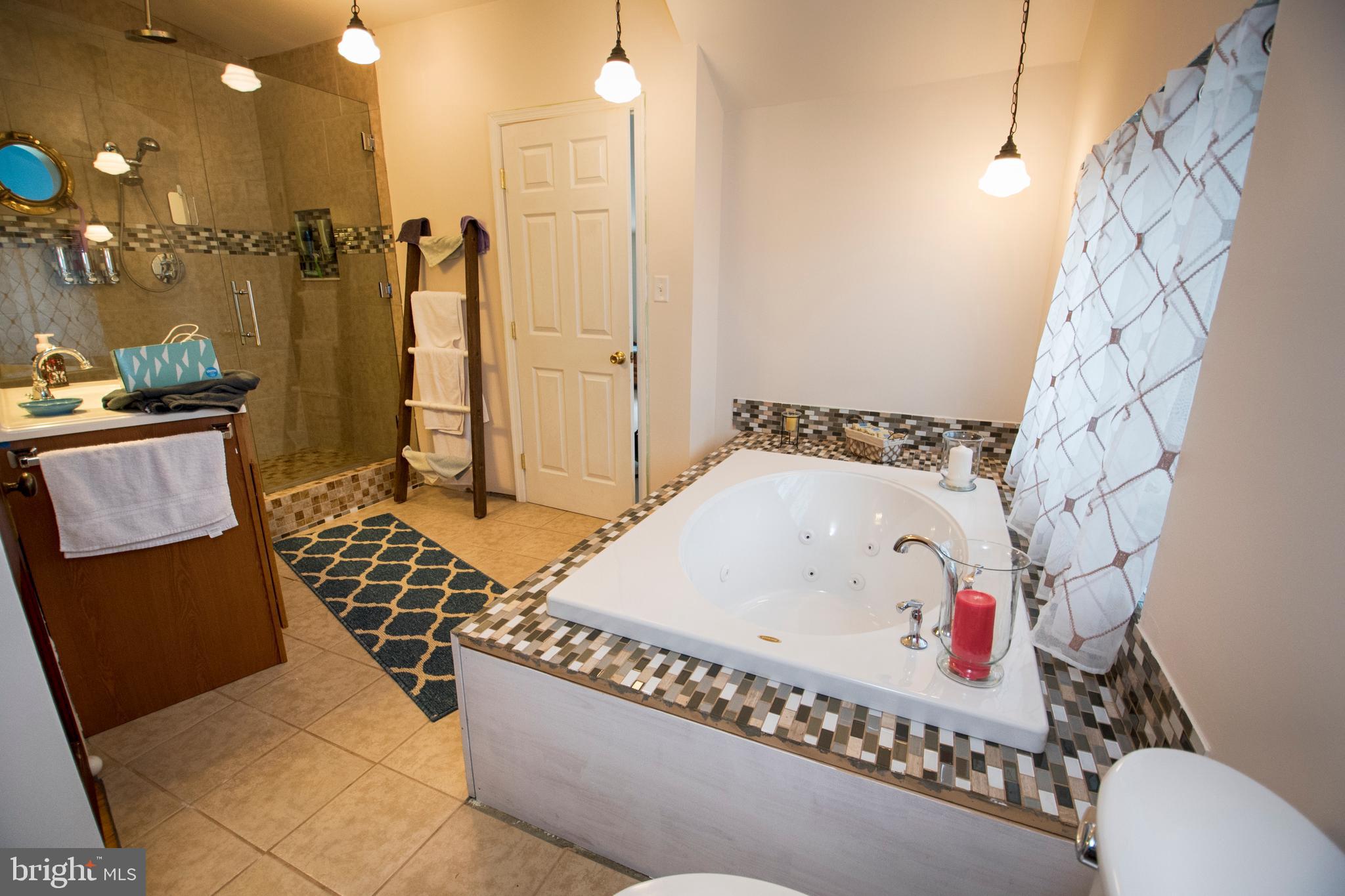 306 Old River Road Birdsboro, PA 19508 - Photo 56 of 61 Gallery Image 56