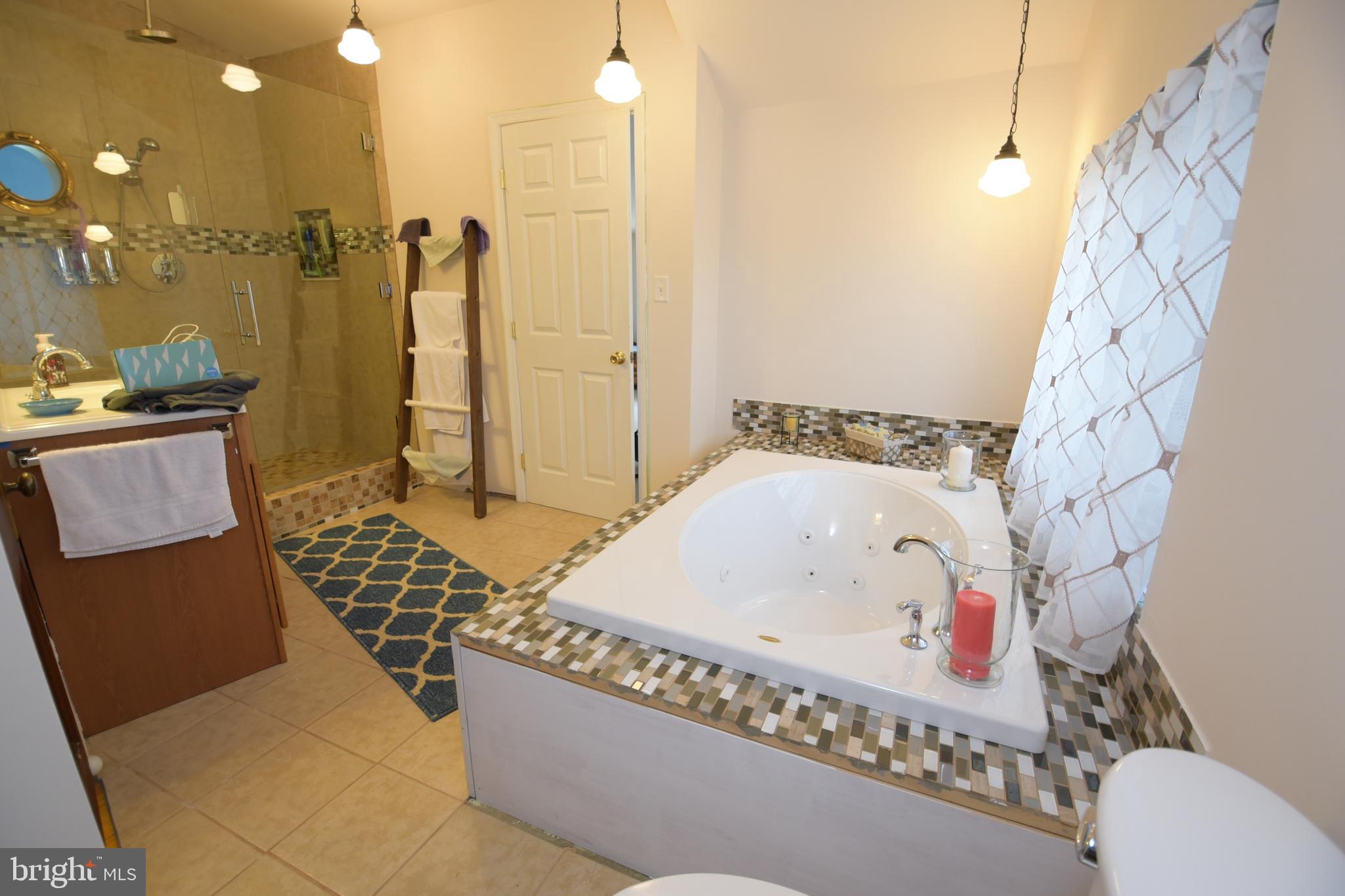 306 Old River Road Birdsboro, PA 19508 - Photo 57 of 61 Gallery Image 57
