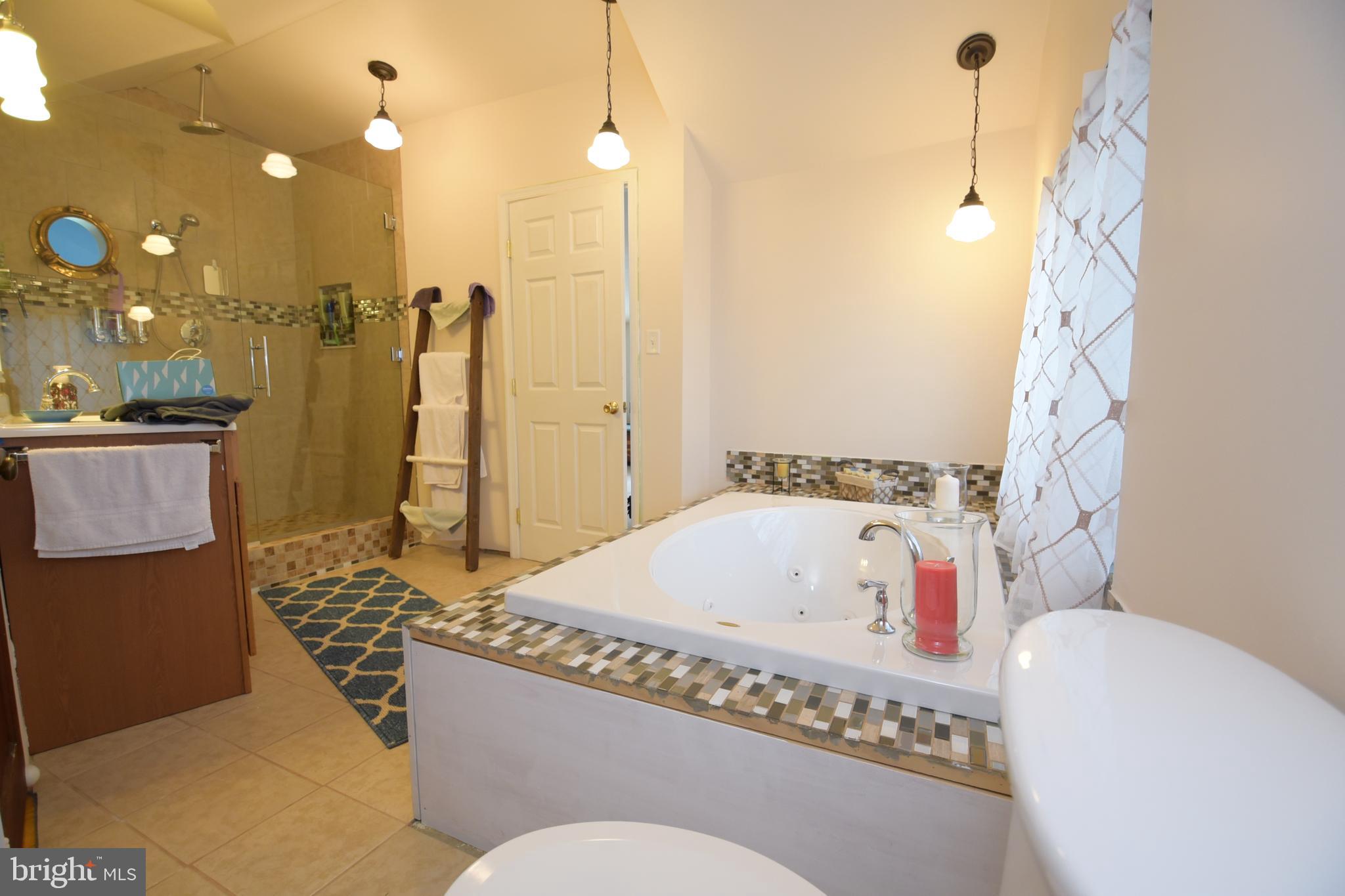 306 Old River Road Birdsboro, PA 19508 - Photo 58 of 61 Gallery Image 58