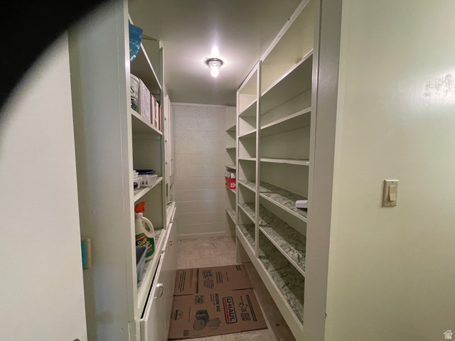 438 East Main Street Elsinore, UT 84724 - Photo 19 of 43 Dedicated storage room featuring extensive built-in shelving, a flush-mount ceiling light, and light-toned walls