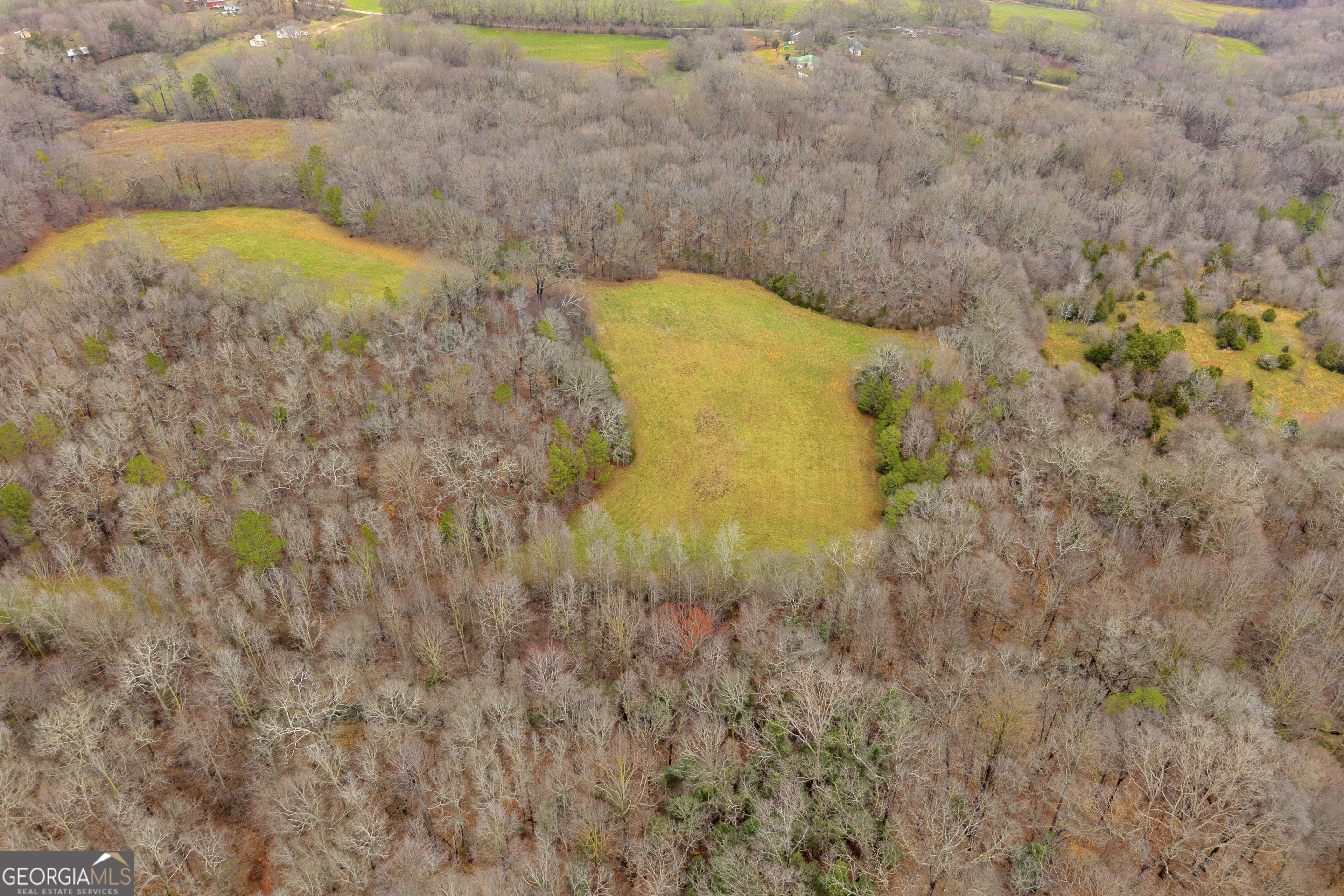 787 Parham Town Road Bowman, GA 30624 - Photo 11 of 49 a view of top of a house