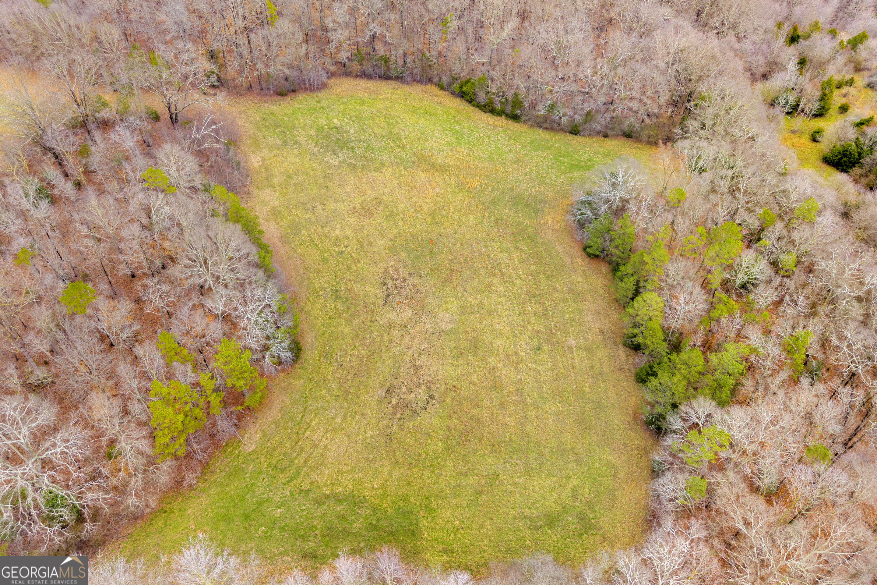 787 Parham Town Road Bowman, GA 30624 - Photo 12 of 49 a bathroom with a small yard