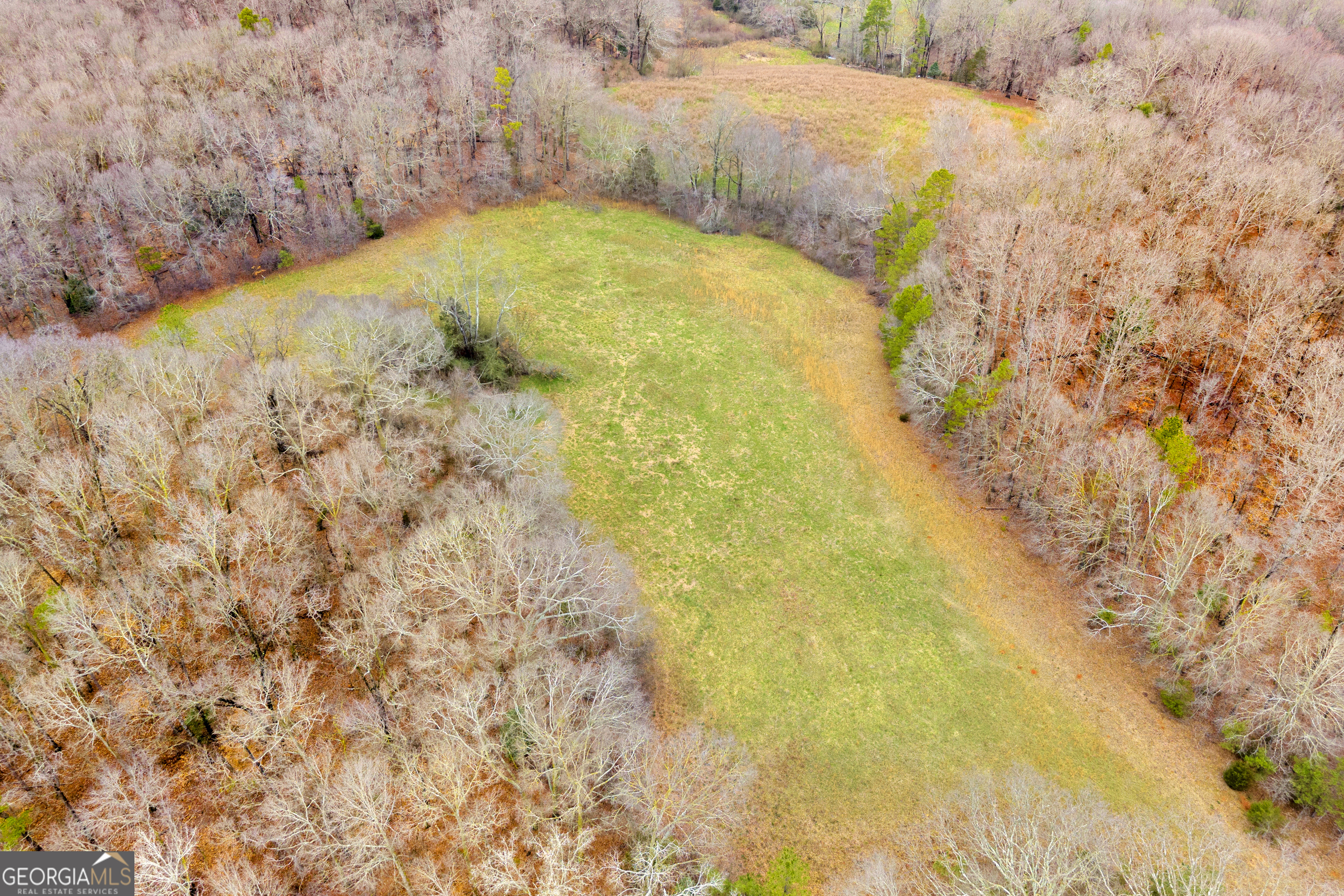 787 Parham Town Road Bowman, GA 30624 - Photo 13 of 49 a view of ocean view