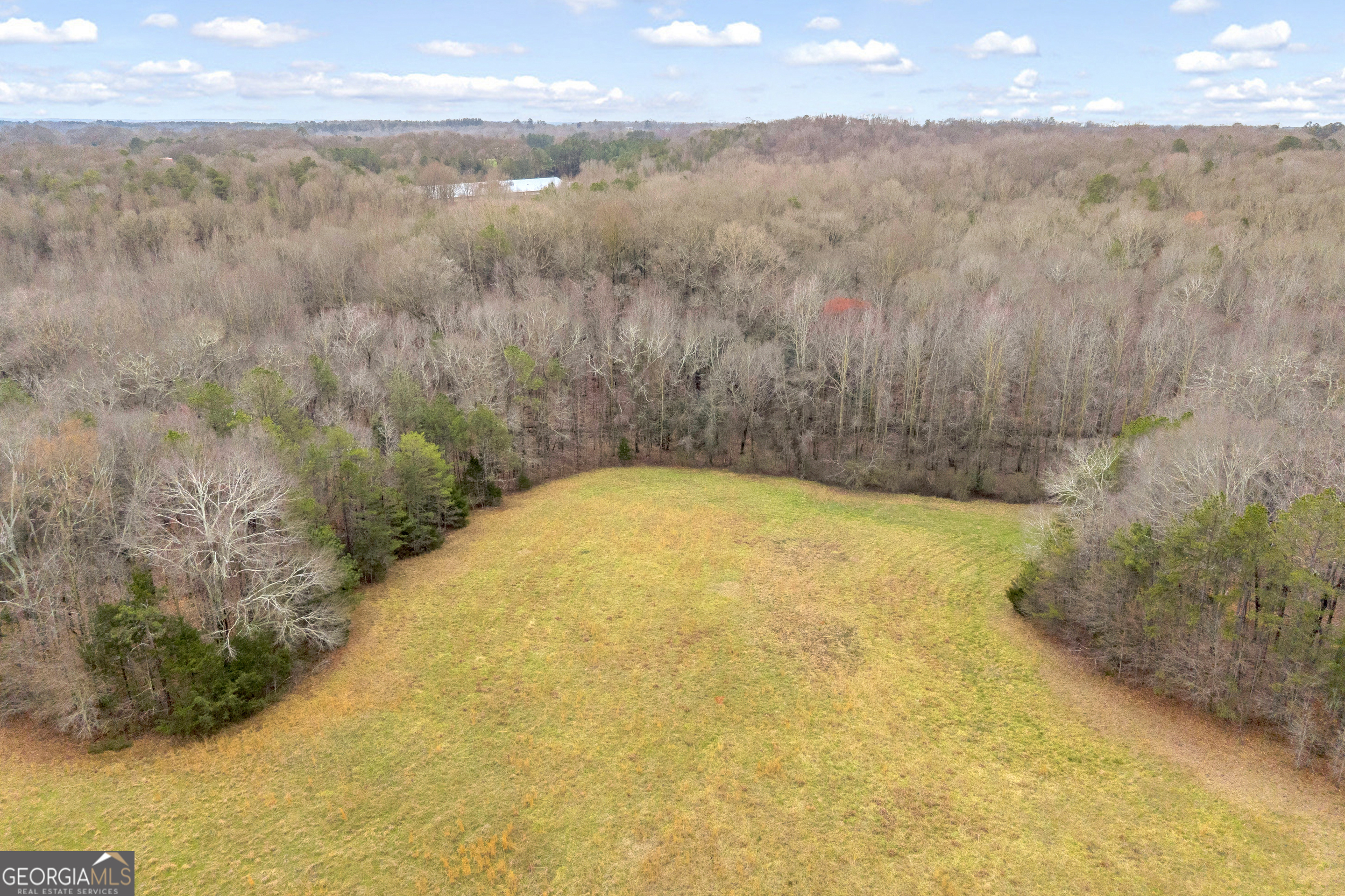 787 Parham Town Road Bowman, GA 30624 - Photo 14 of 49 a view of a yard