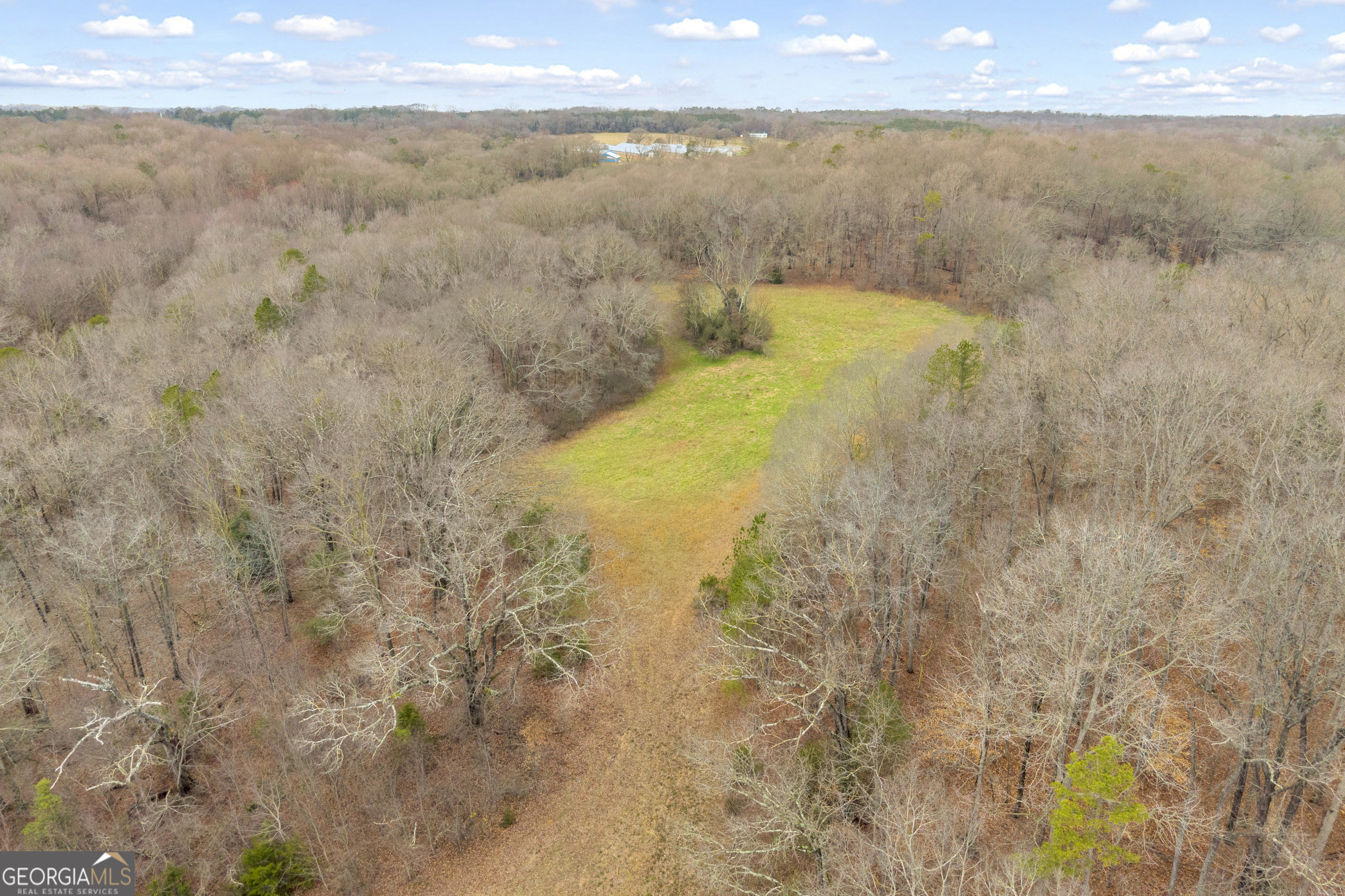 787 Parham Town Road Bowman, GA 30624 - Photo 15 of 49 a view of a lake view