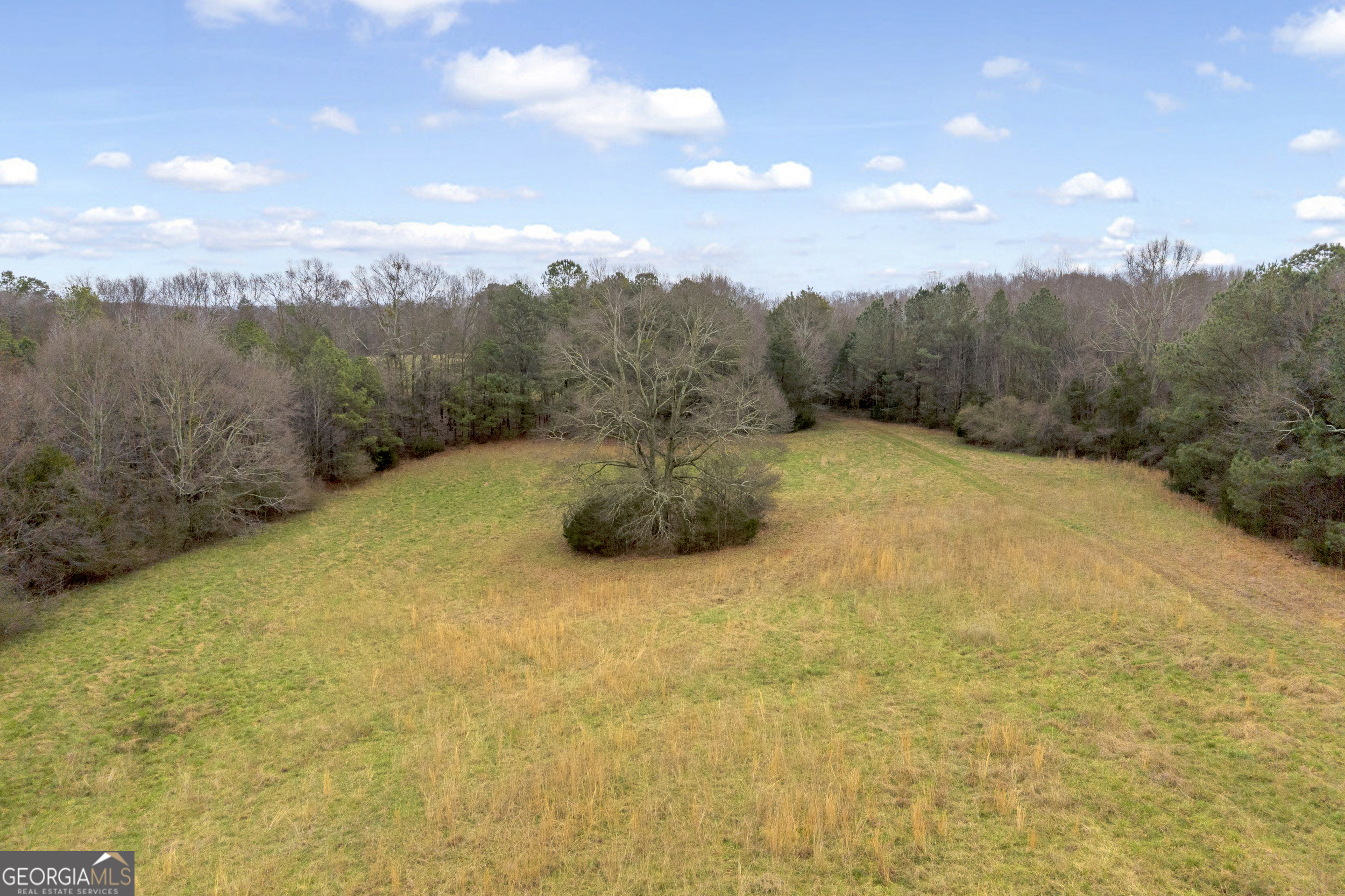787 Parham Town Road Bowman, GA 30624 - Photo 18 of 49 a view of outdoor space and mountain view