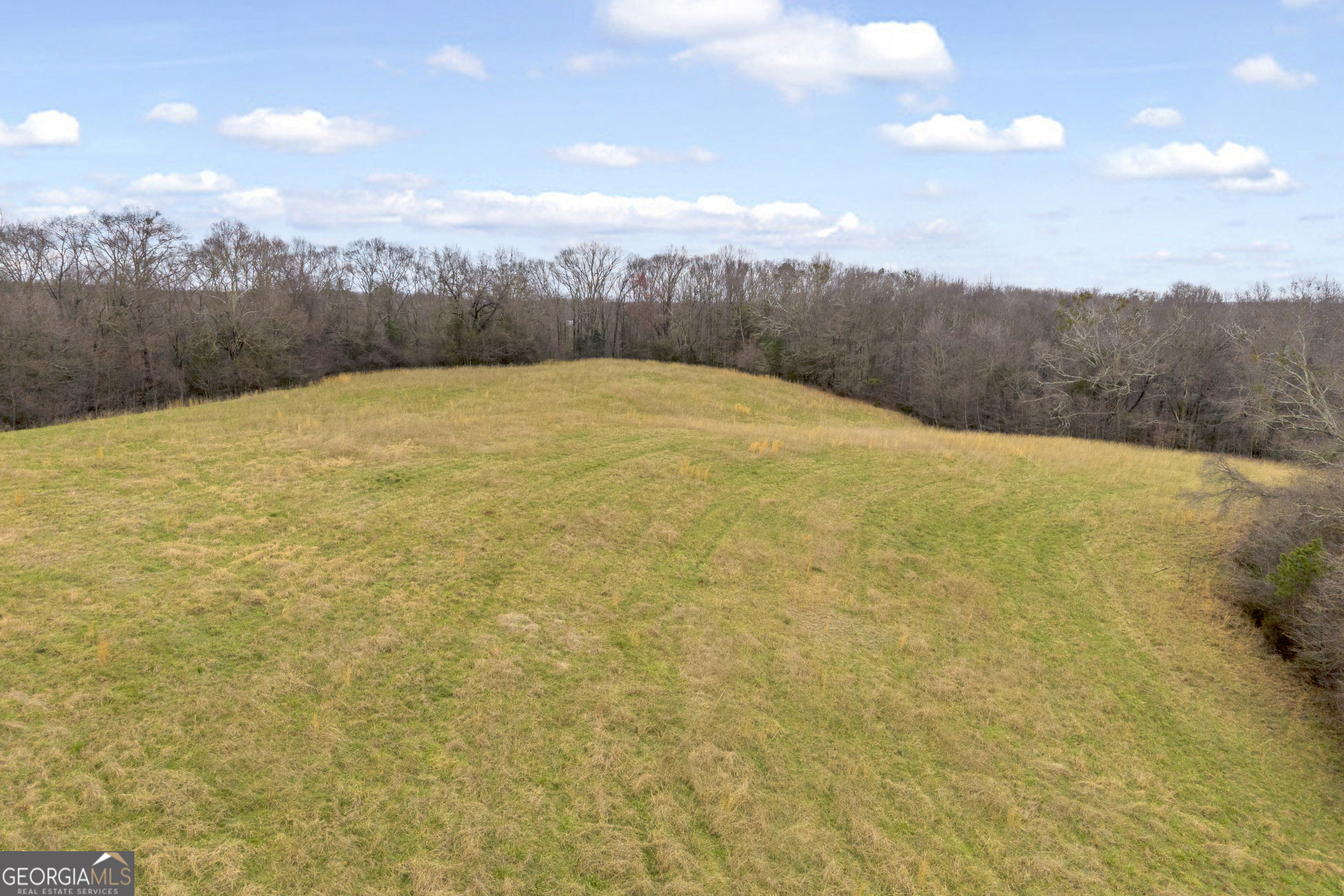 787 Parham Town Road Bowman, GA 30624 - Photo 19 of 49 a view of a yard with an empty space and mountain view