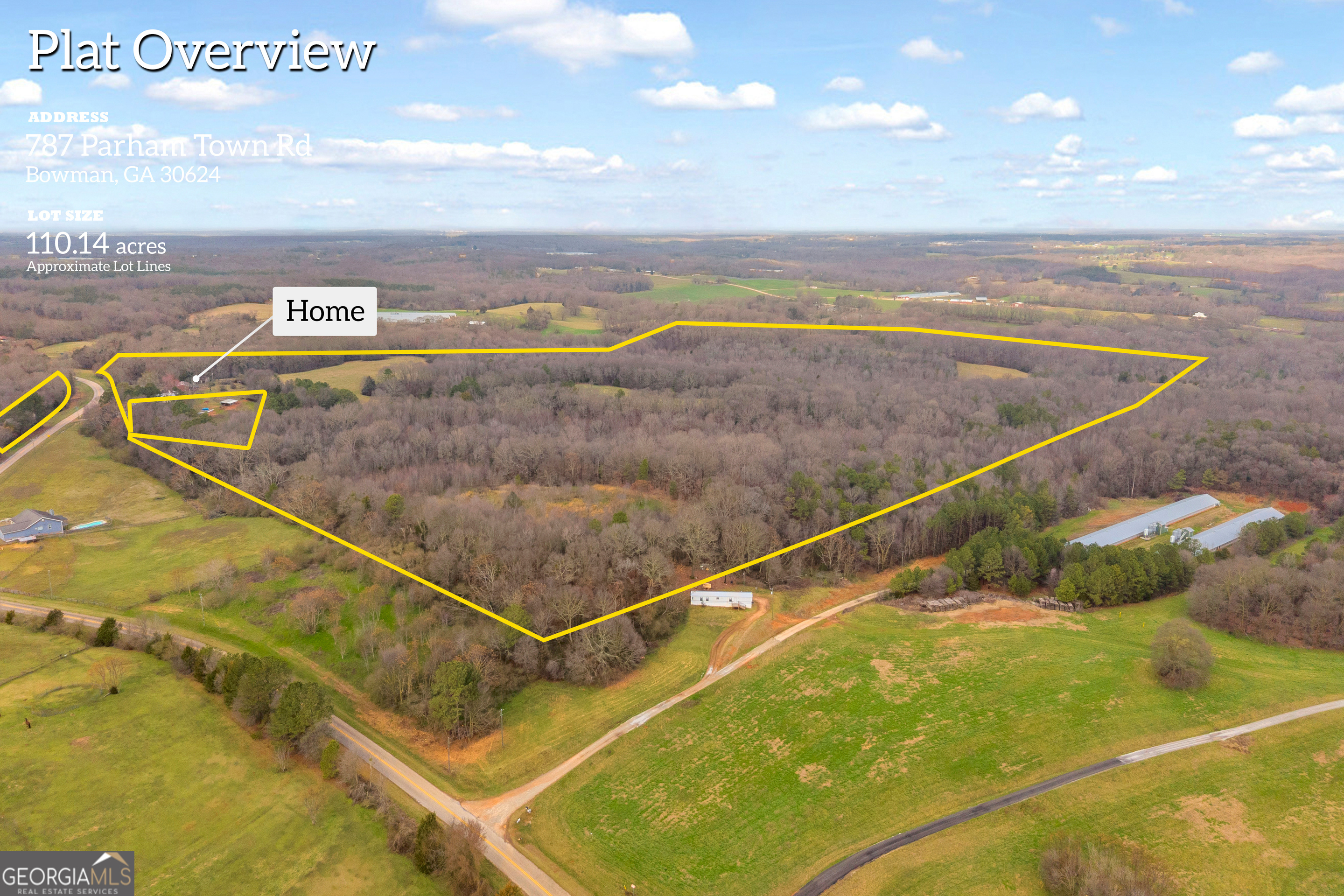 787 Parham Town Road Bowman, GA 30624 - Photo 2 of 49 a view of swimming pool