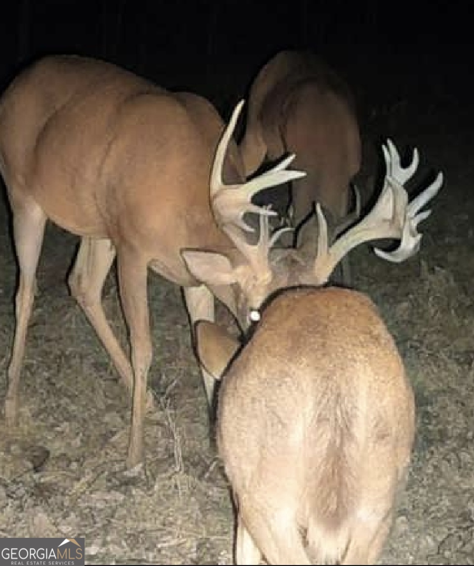 787 Parham Town Road Bowman, GA 30624 - Photo 47 of 49